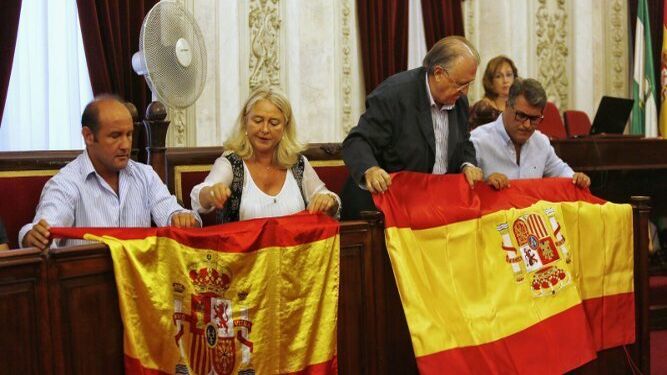 Banderas de España en un pleno extraordinario de Cádiz
