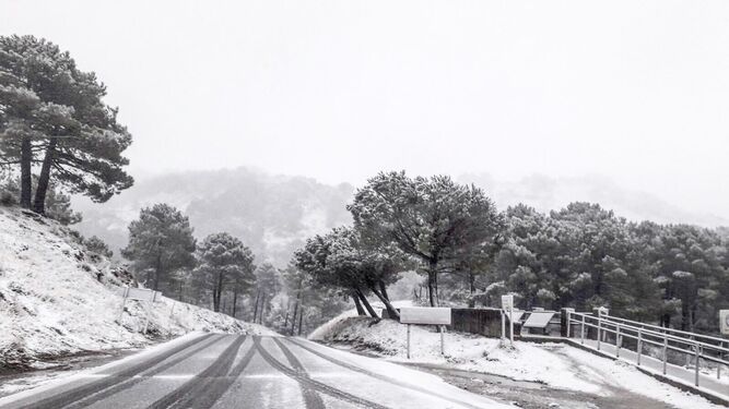 Imagen tomada esta mañana de la nevada caída en la sierra