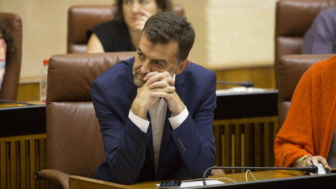 Antonio Maíllo (IU), durante una de sus intervenciones en el Parlamento andaluz.